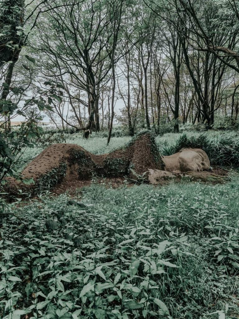 lost-gardens-of-heligan