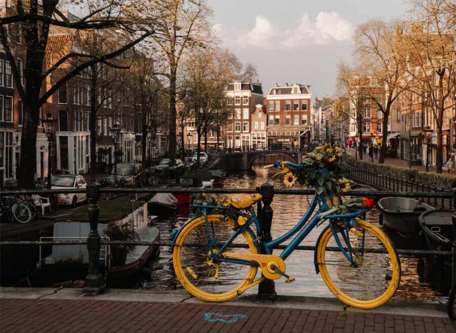 A flower bike in Amsterdam painted in yellow and blue to show support for Ukraine. It's also decorated with sunflowers. In the background, you can see traidtional Dutch buildings and a canal.