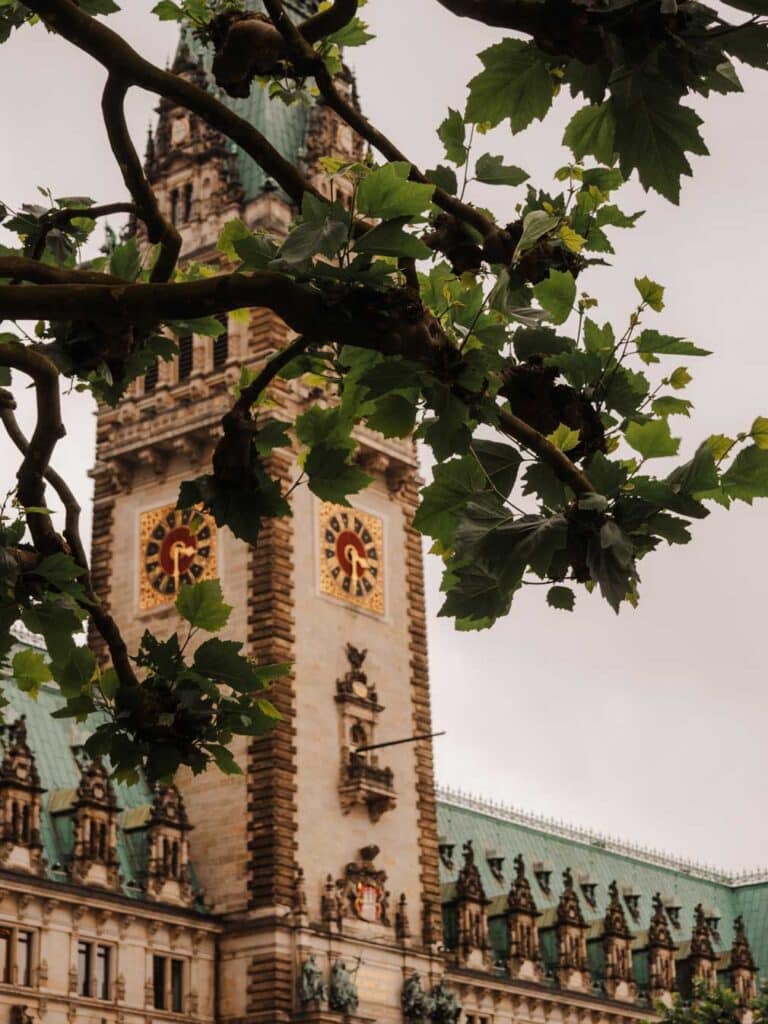 The large clock tower of Hamburg's city hall, featuring a prominent clock face that's hiding behind the leaves of a tree.