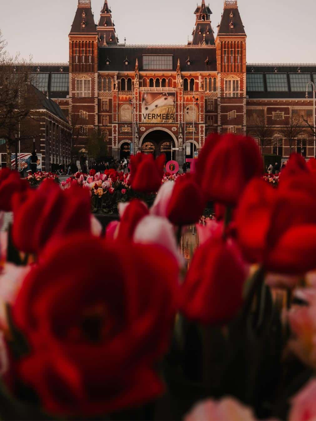 Tulips in front of the Rijksmuseum. The focus of this photo are the tulips which are pink, red and white and you can see the museum in the background. The Rijksmuseum is a beautiful building in a mix of Gothic and Renaissance styles.