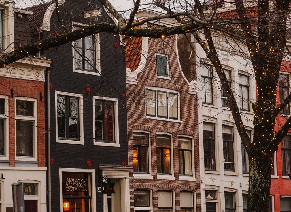 Charming crooked architecture in Amsterdam and a tree filled with Christmas lights.