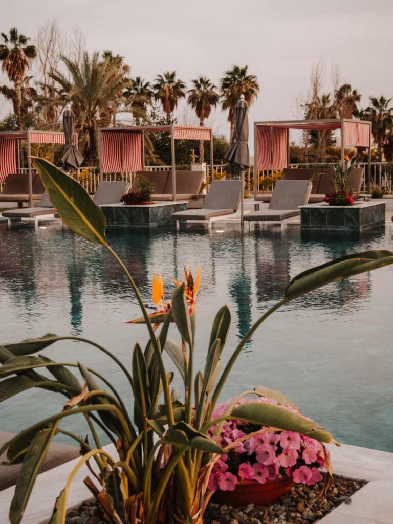 The pool surrounded by plants, palm trees and sun loungers at Cali Resort and Spa.