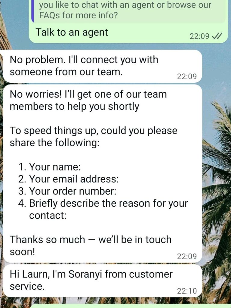 Customer service messages on WhatsApp