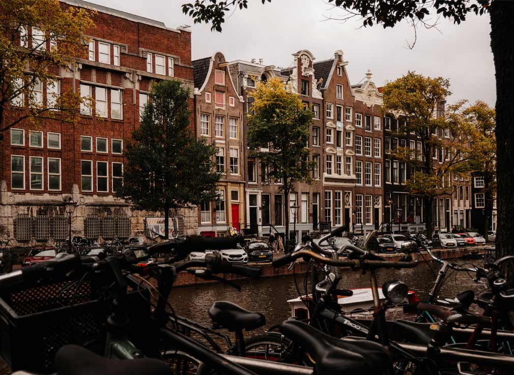 Autumn foliage in Amsterdam in October.